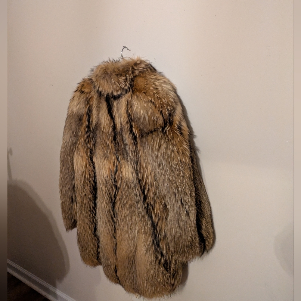 Finn Raccon Coat - Picture 4 of 7